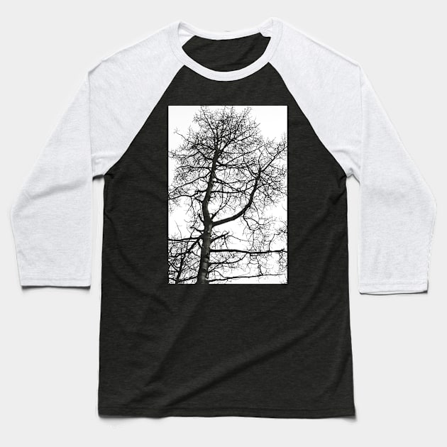 tree Baseball T-Shirt by pholange